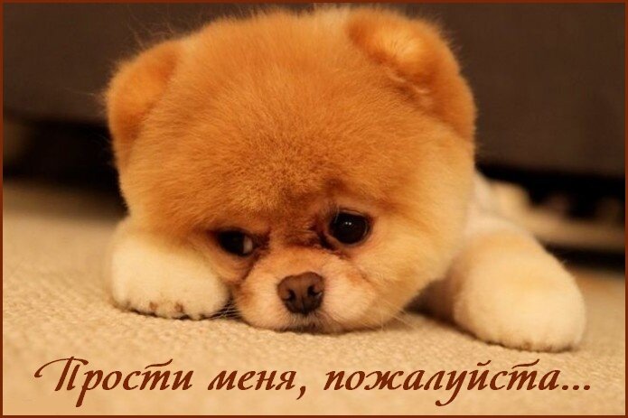 http://love-image.ru/izvini/1.jpg