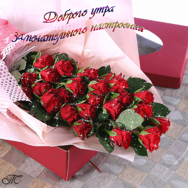 http://love-image.ru/utrona/11.gif